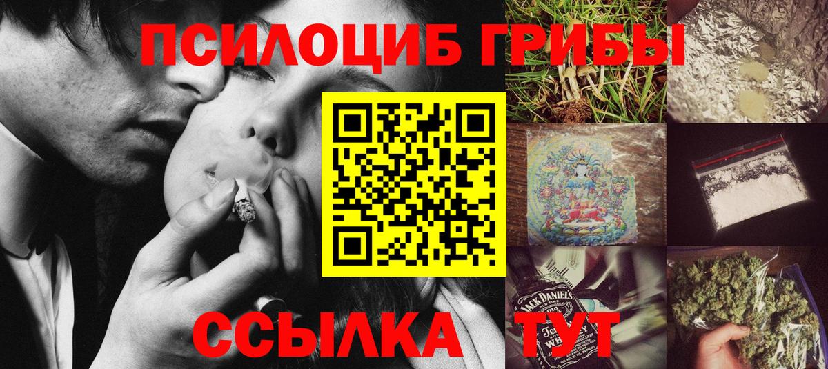 Псилоцибиновые грибы Psilocybine cubensis Татарск